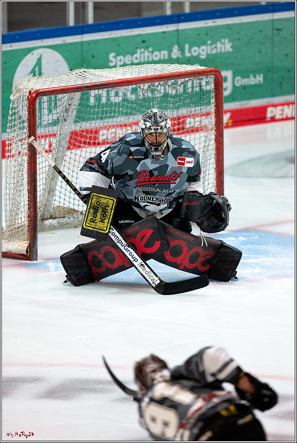 PENNY DEL;  Iserlohn Roosters - Koelner Haie; Iserlohn, 05.02.2021